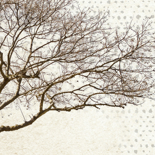 Papier peint panoramique Natura