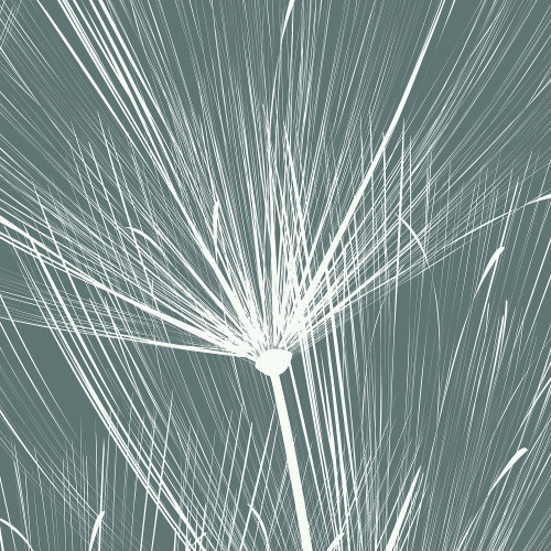 Papier peint panoramique Dandelion XL