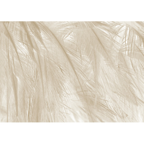 Papier peint panoramique Soft