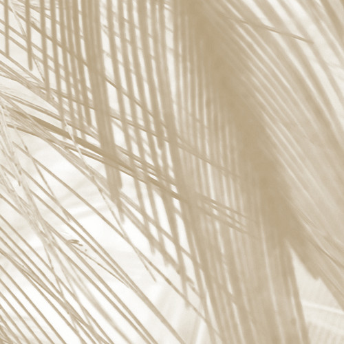 Papier peint panoramique Soft