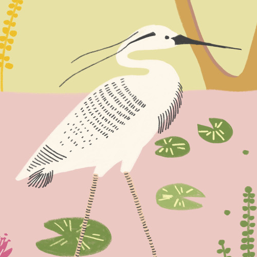 Papier peint panoramique Faune le long du Nil