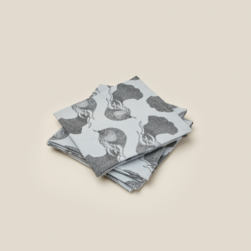 Nappe et 4 serviettes assorties 28 bleu gris