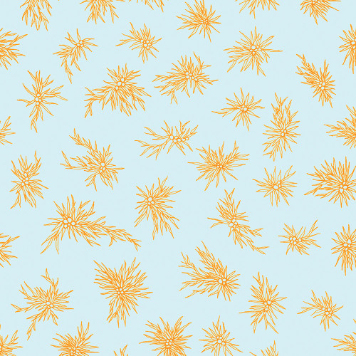 Papier peint 15 - Étoiles sauvages