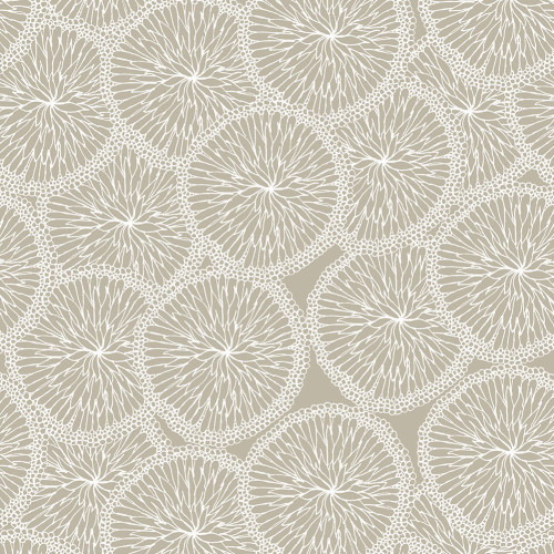 Papier peint 34 - Fleurs éthérées