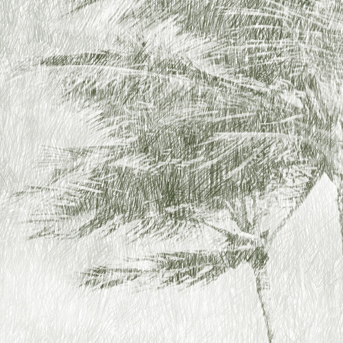 Papier peint panoramique Hawaï