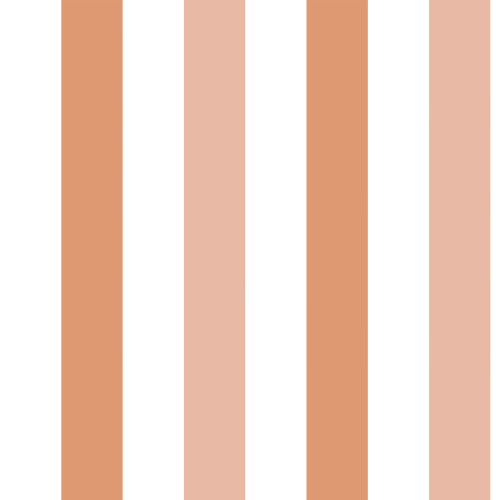 Papier peint à Rayures Alternées - terracotta