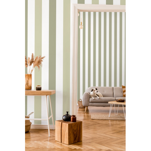 Papier peint à Rayures Majestueuses