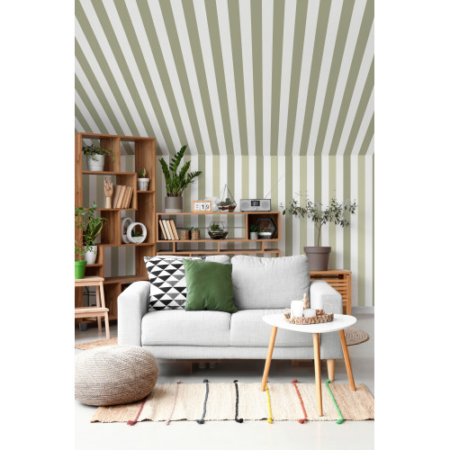 Papier peint à Rayures Alternées