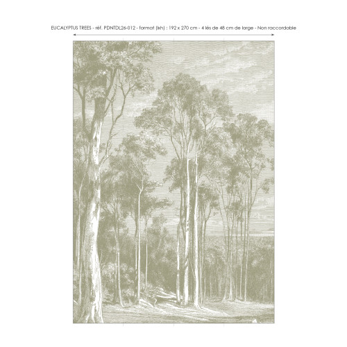 Papier peint panoramique Eucalyptus trees