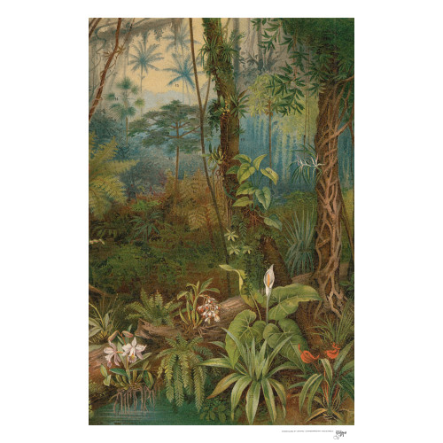 Toile suspendue Mauritia 1