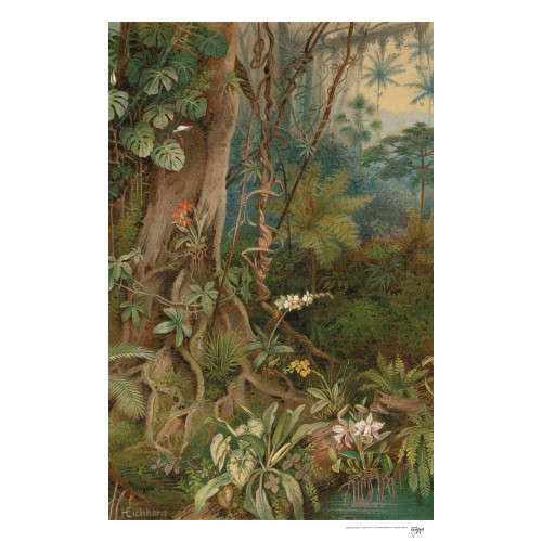 Toile suspendue Mauritia 2