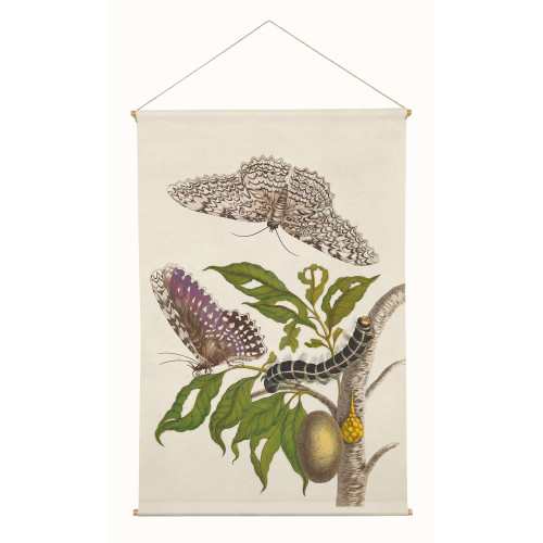 Toile suspendue Botanic Butterfly