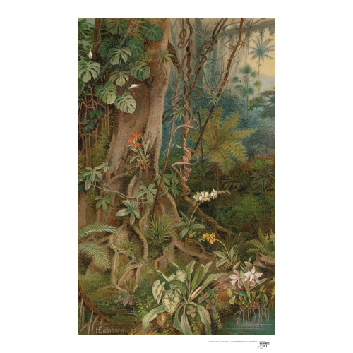 Toile suspendue Mauritia 2