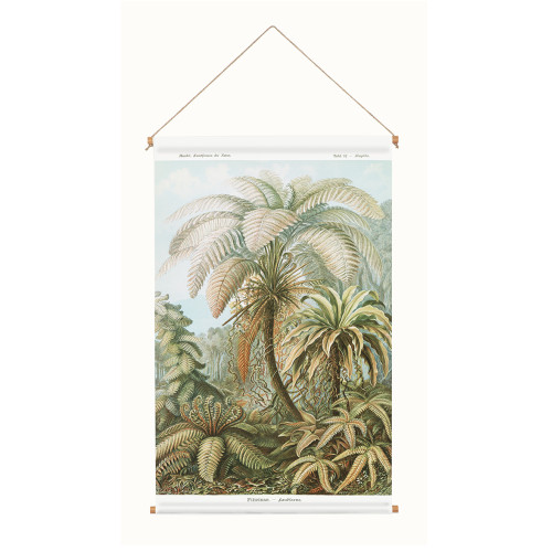 Toile suspendue Filicinae