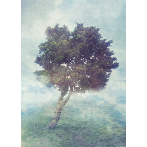 Papier peint panoramique MISTY TREE