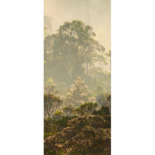 Papier peint panoramique MISTY FOREST