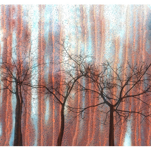 Papier peint panoramique ASH TREES