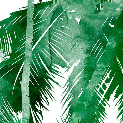 Papier peint panoramique Jungle