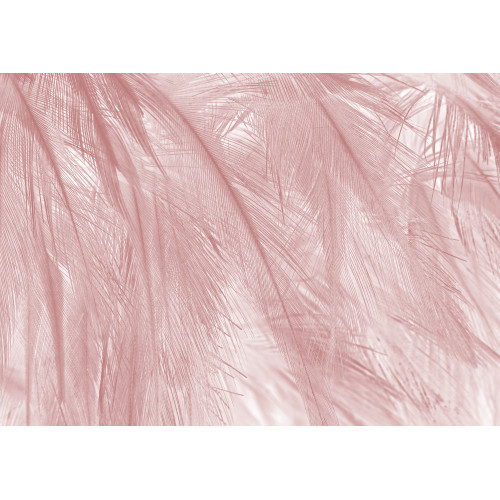 Papier peint panoramique Soft