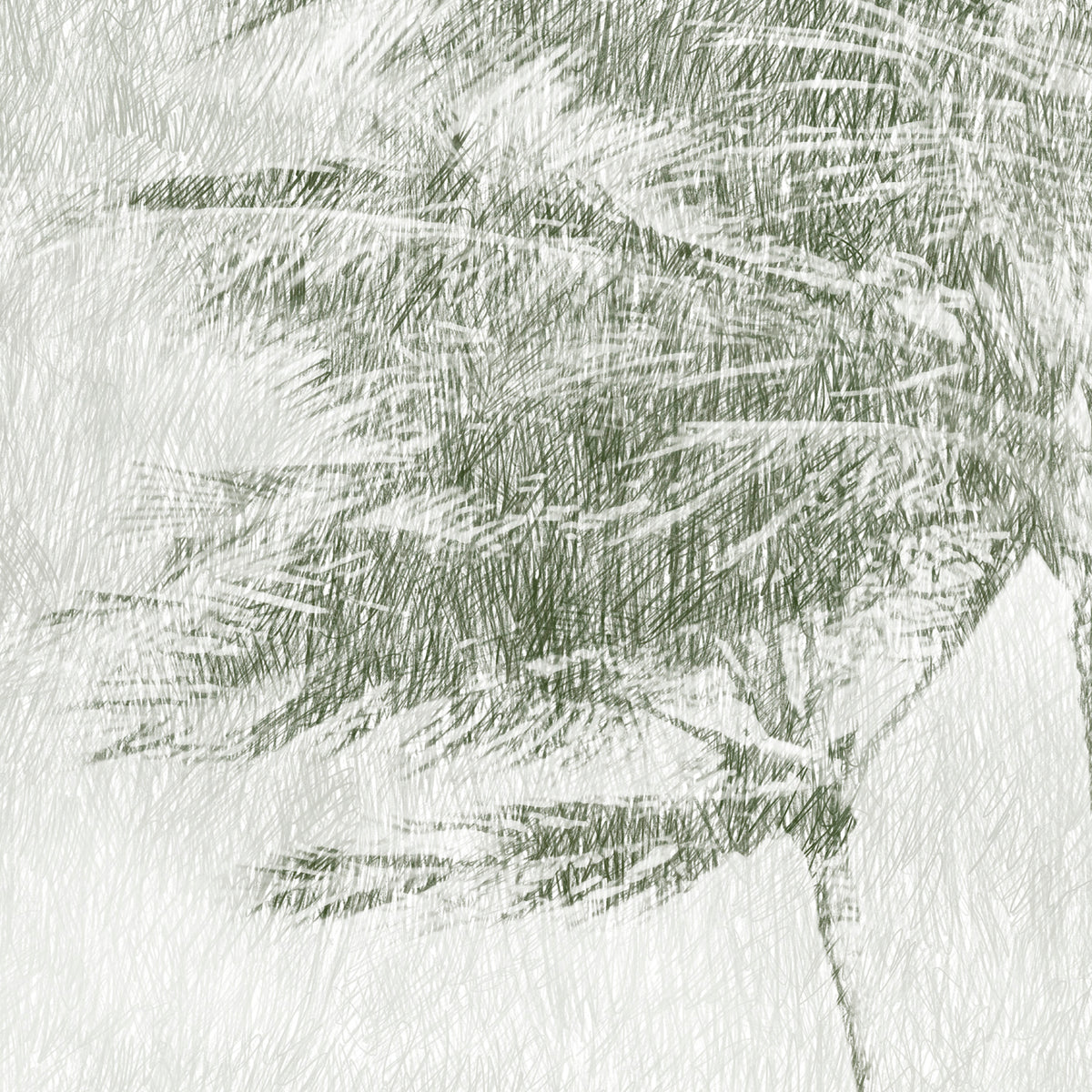 Papier peint panoramique Hawaï