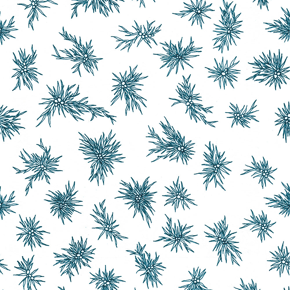 PP15-C01-BLEU zoom_49