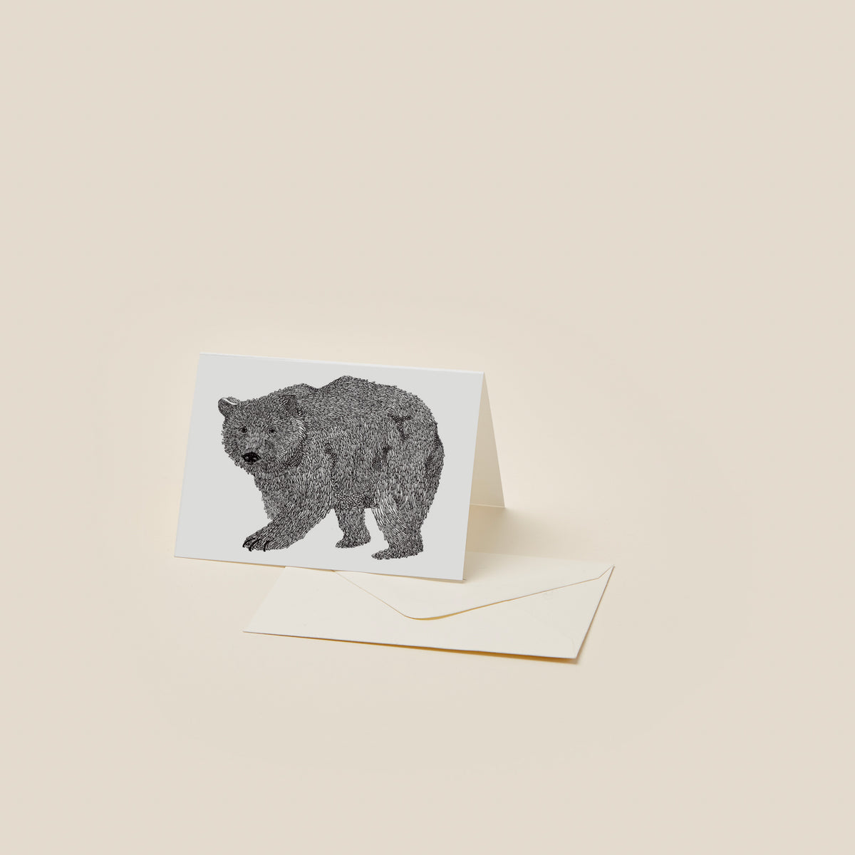 mini-carte-51