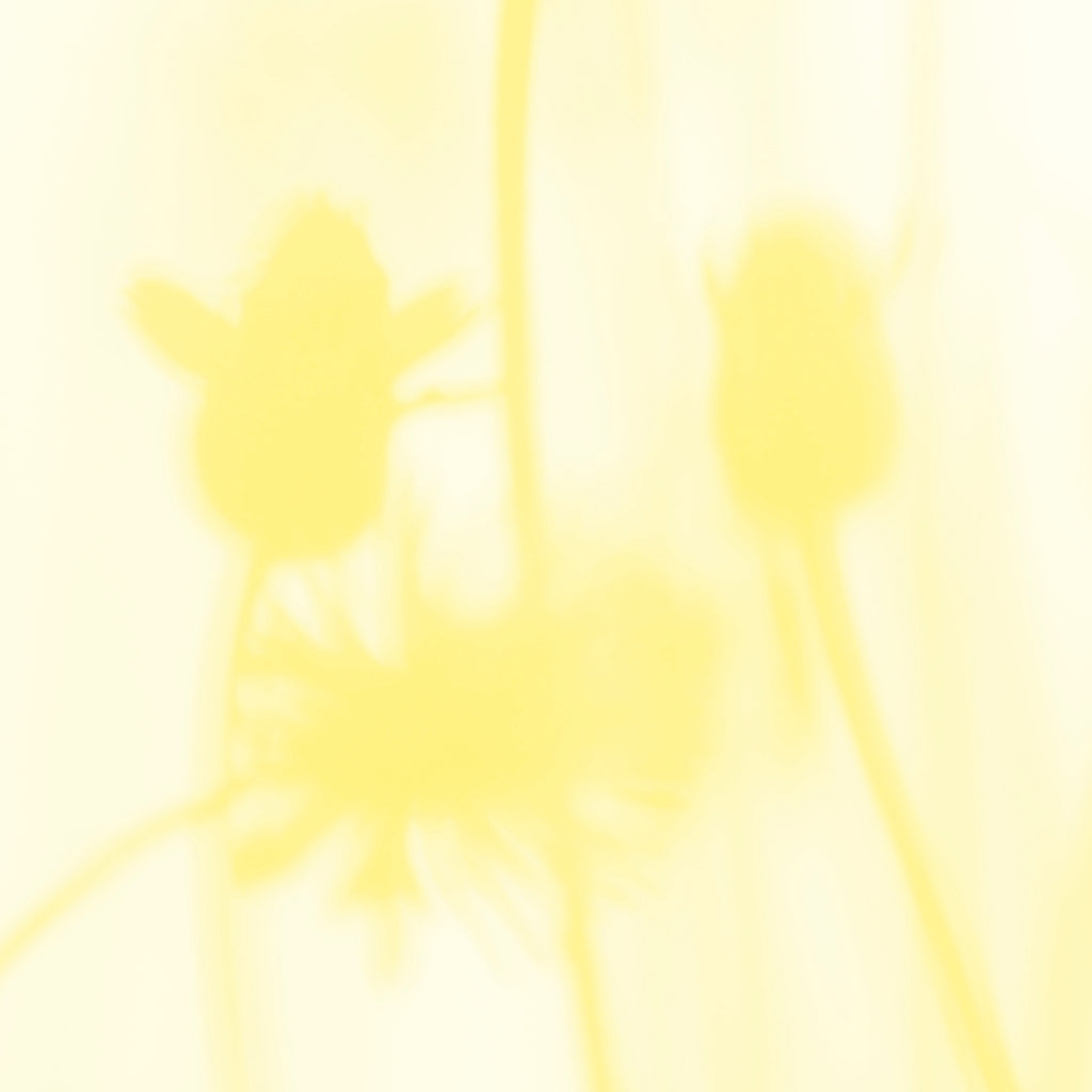 PDNTDL24-039 zoom_49