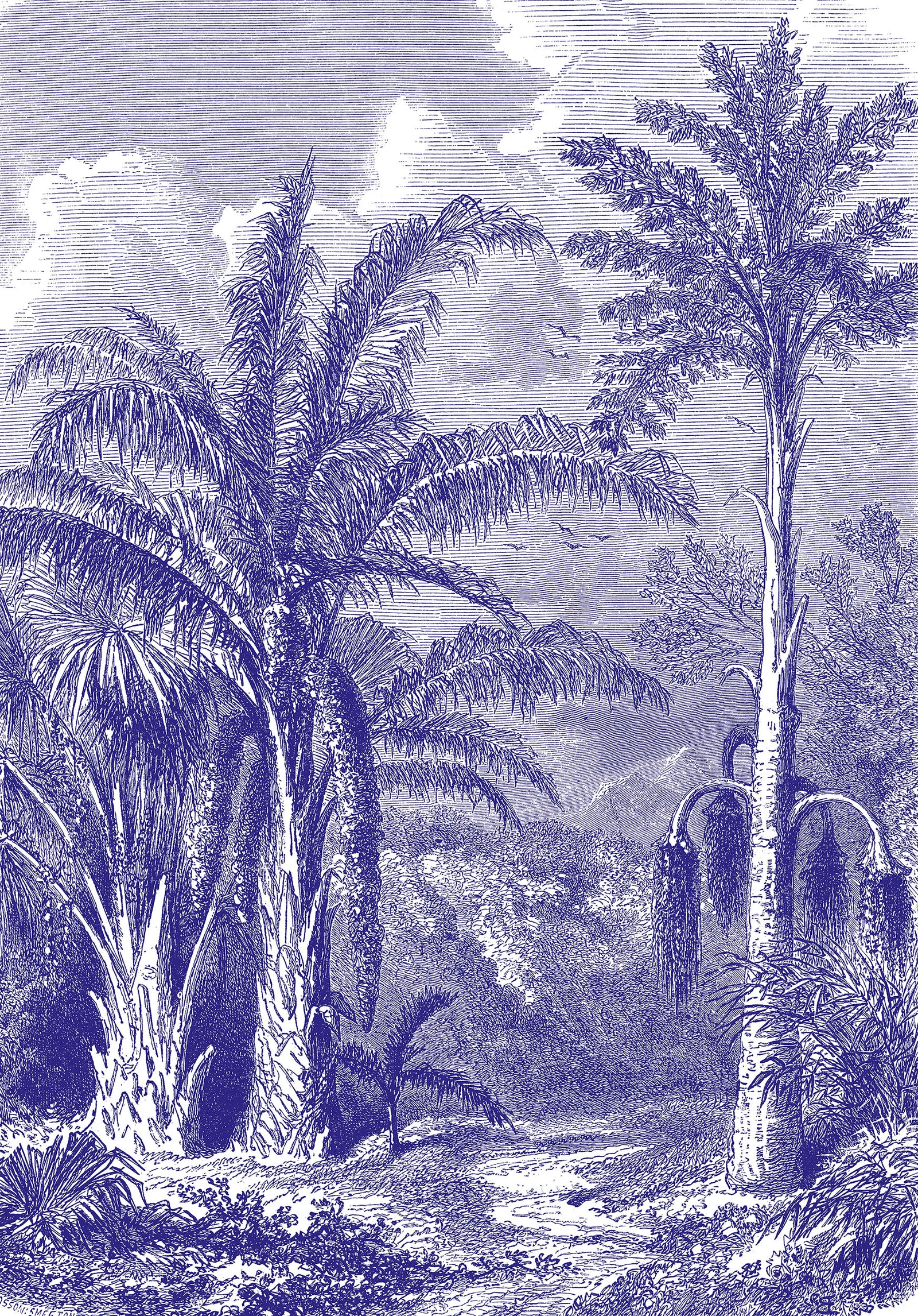 Papier peint panoramique Phoenix Blue