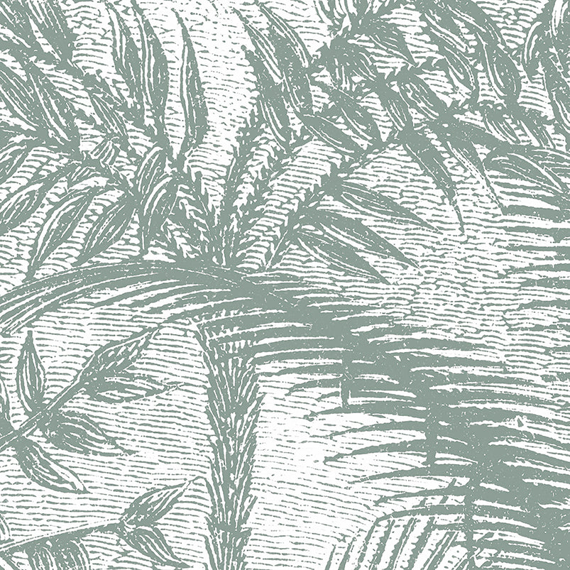 PDNTDL2211002 zoom_49