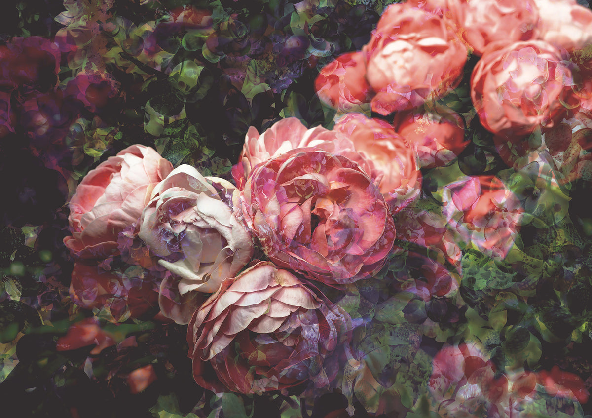 Panoramic wallpaper Antique Roses