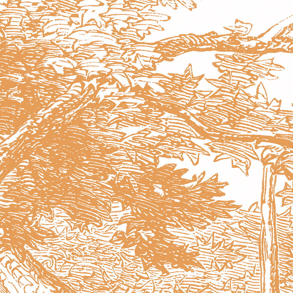 PDNTDL2211011 zoom_49