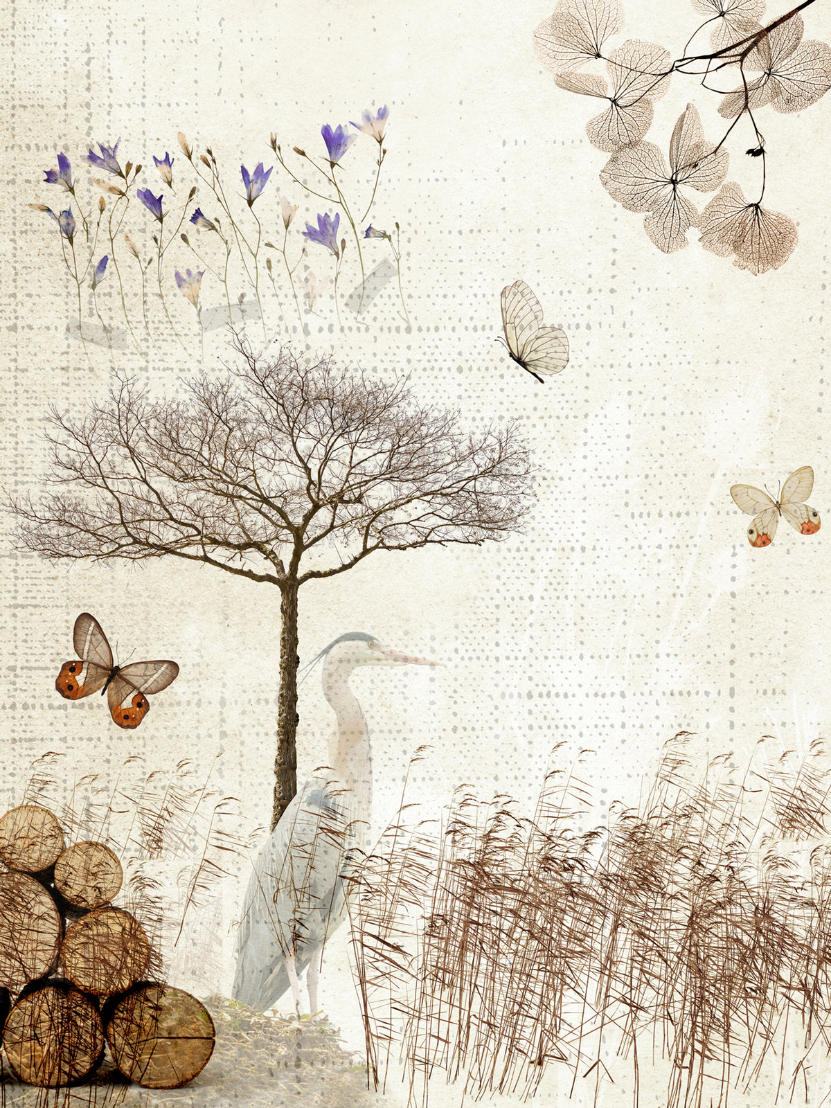 Poster adhésif Natura