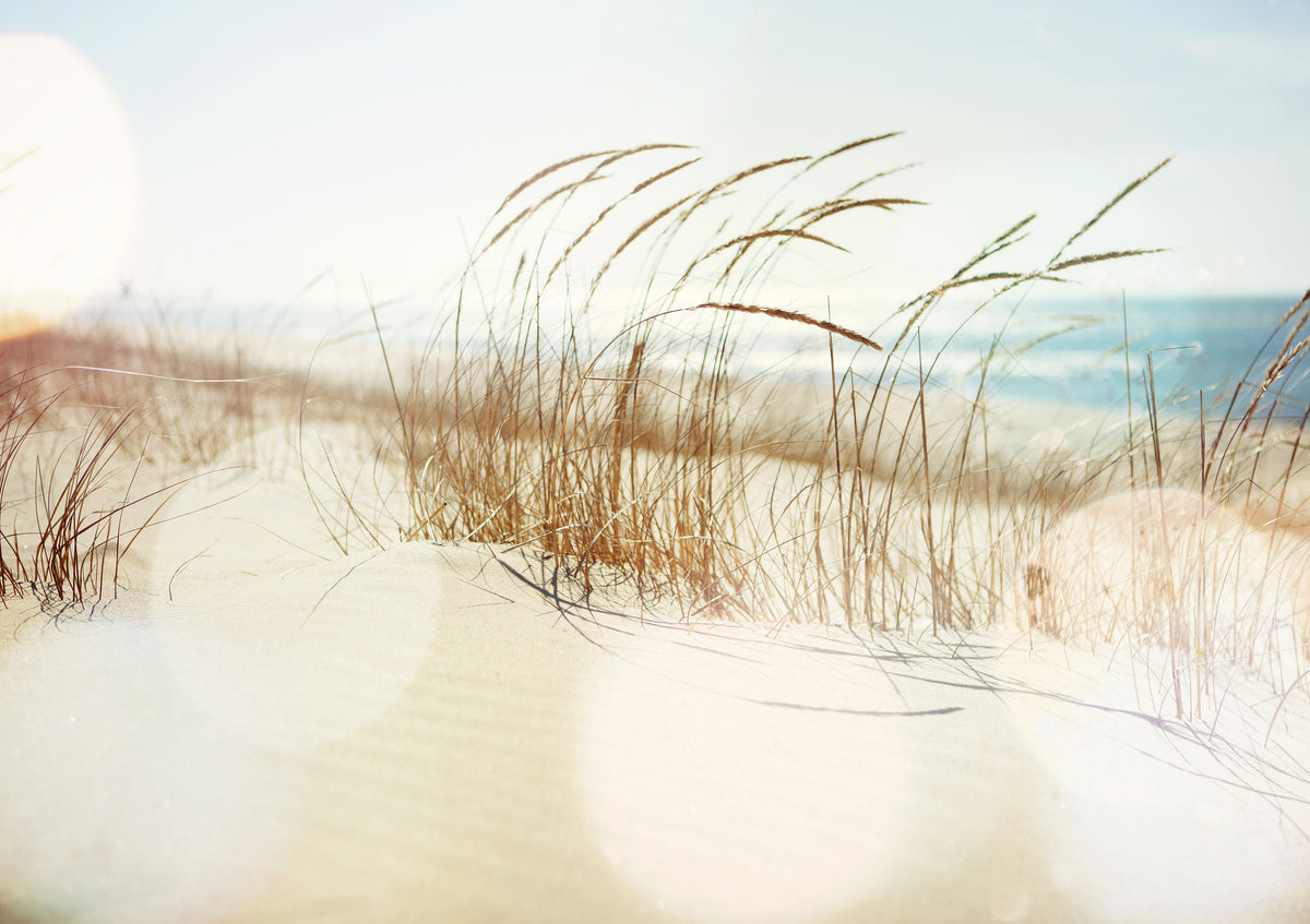 Papier peint panoramique Dune