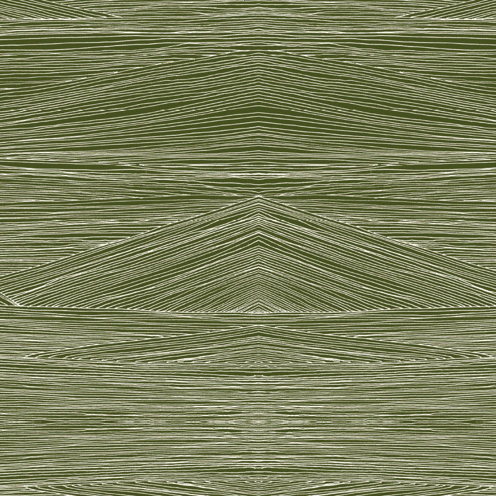 PP46-C01-VERT EBENE zoom_49