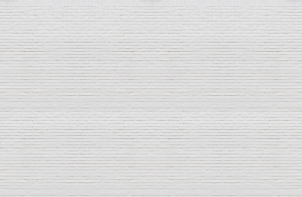 Papier peint panoramique Loft
