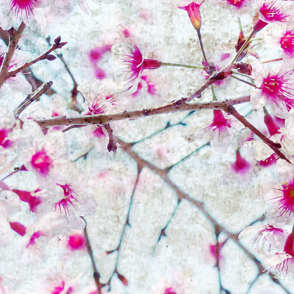 Papier peint panoramique Bloom