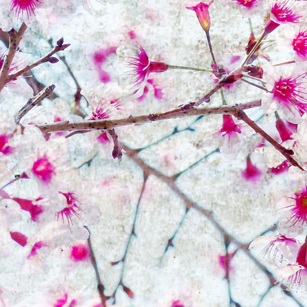 Papier peint panoramique Bloom