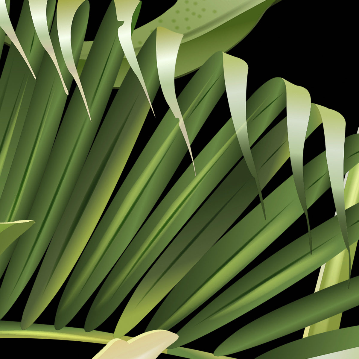 Guyana panoramic wallpaper