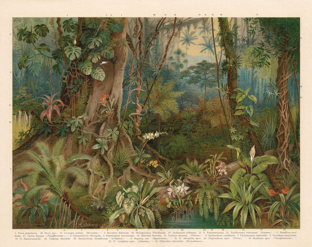 Papier peint panoramique Mauritia