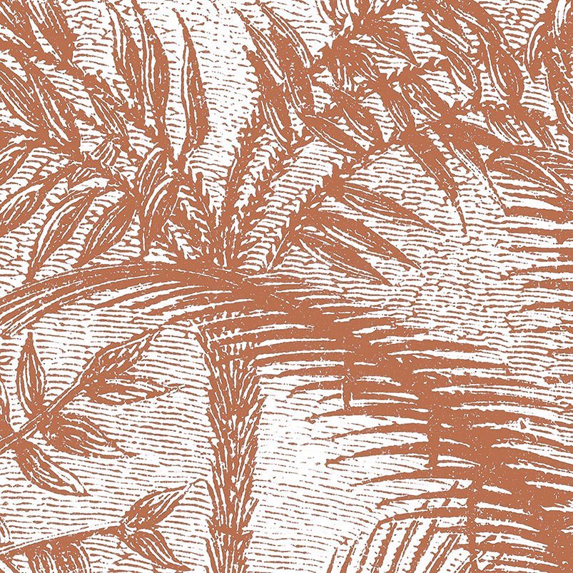 PDNTDL2211003 zoom_49