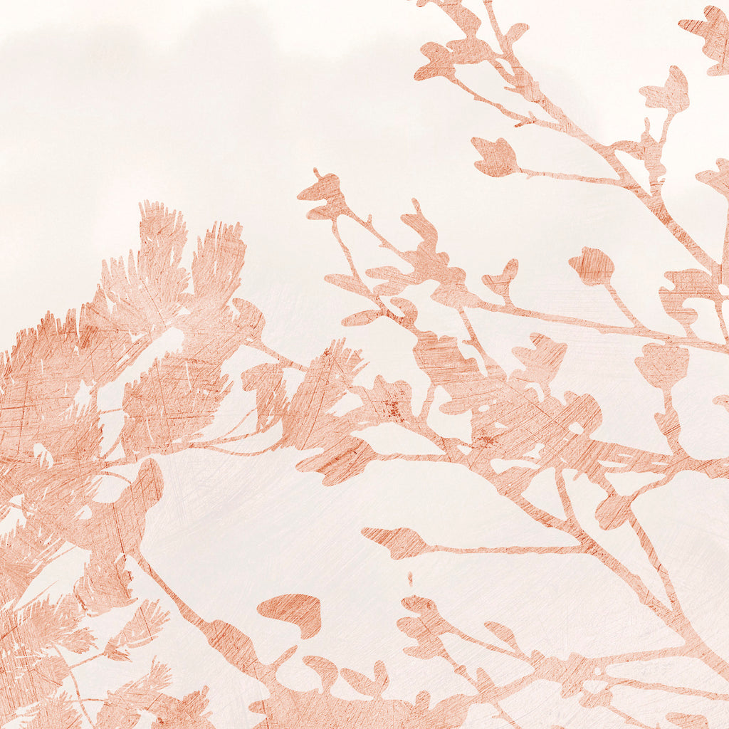 PDNTDL24-033 zoom_49