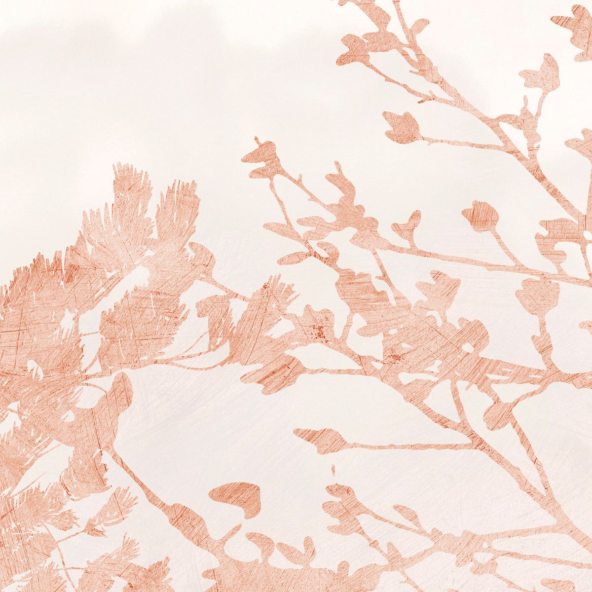 PDNTDL24-033 zoom_49