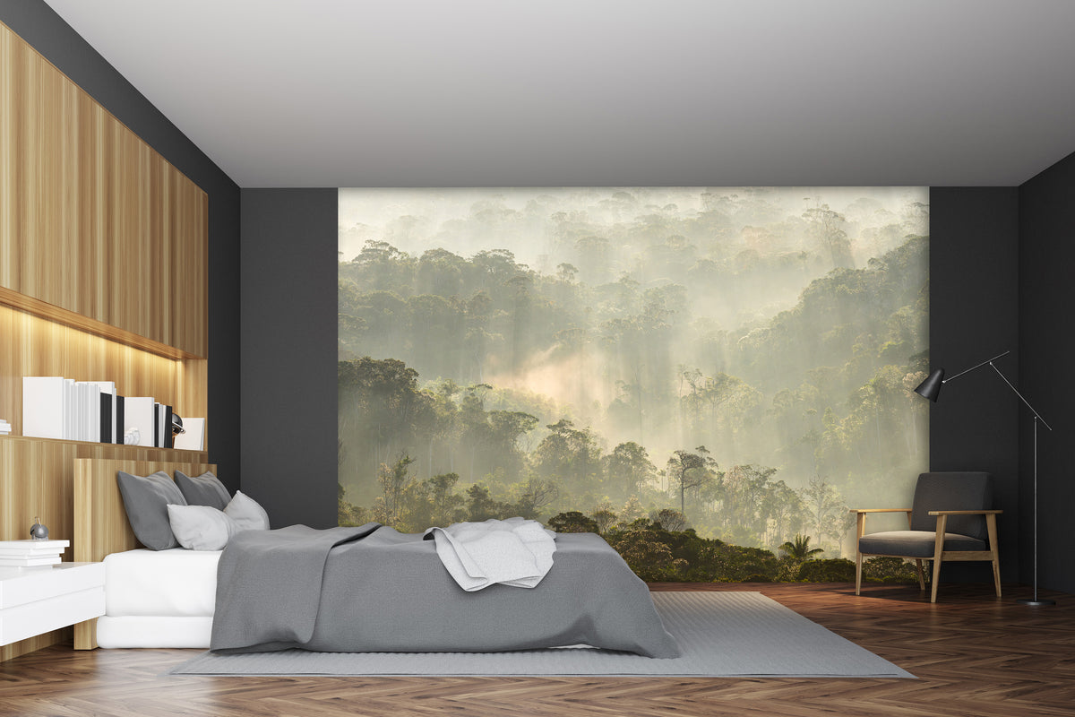Papier peint panoramique Misty Forest