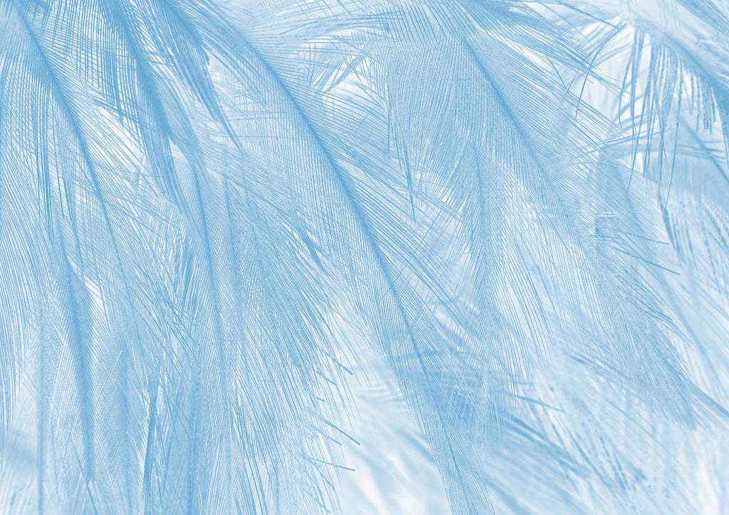 Papier peint panoramique Soft