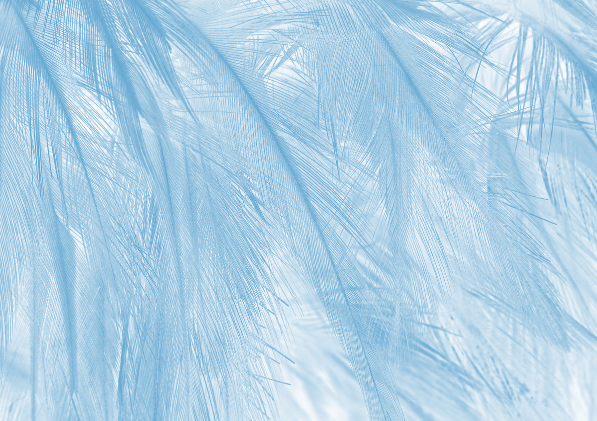 Papier peint panoramique Soft