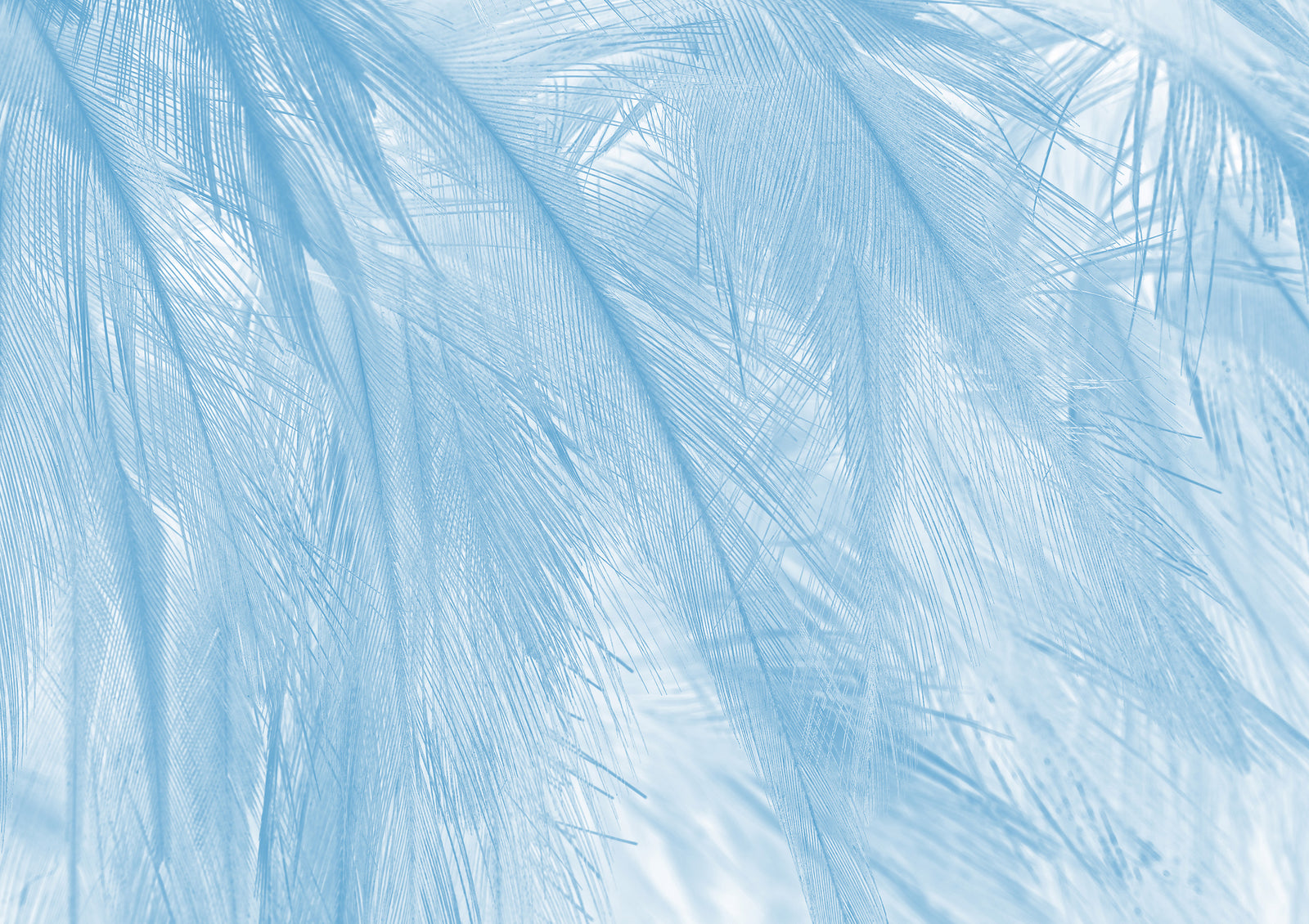 Soft panoramic wallpaper
