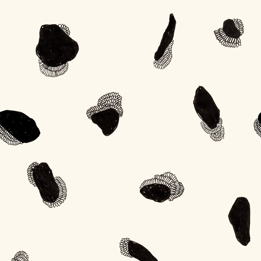 PP50-C01-NB zoom_49