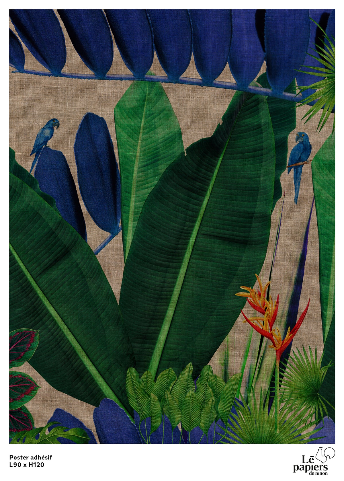 Poster adhésif Kolibri