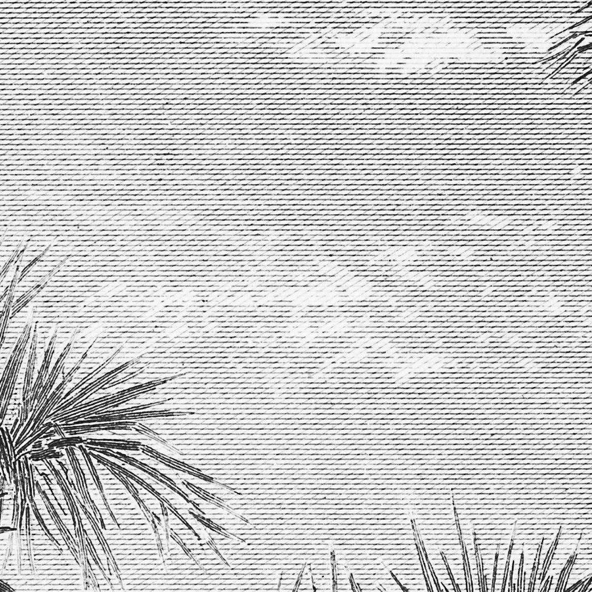 PDNTDL2002020 zoom_49