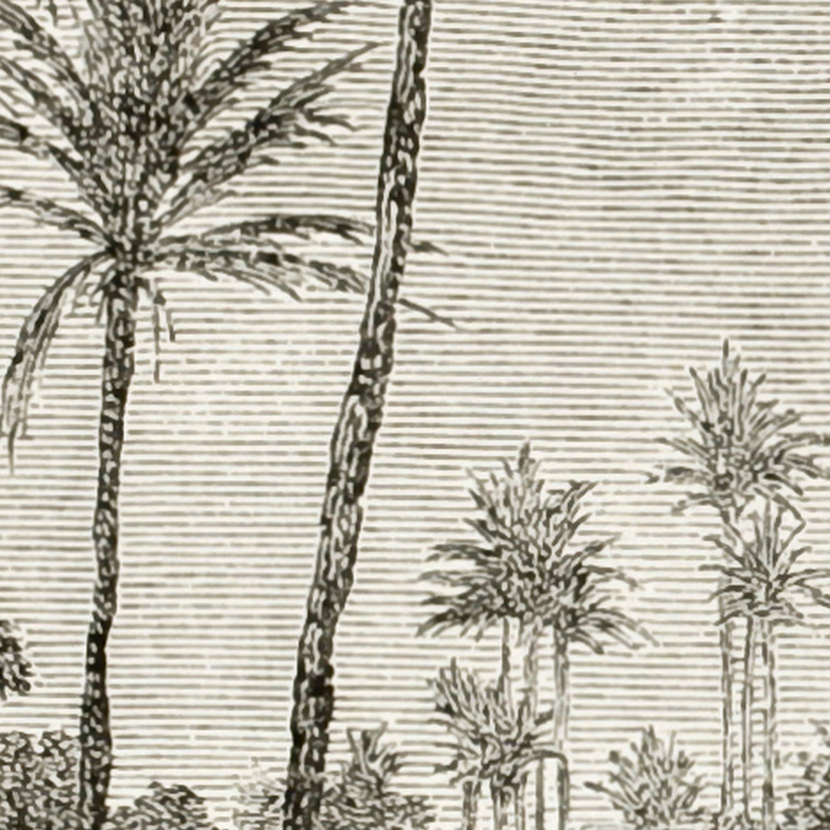 Said panoramic wallpaper